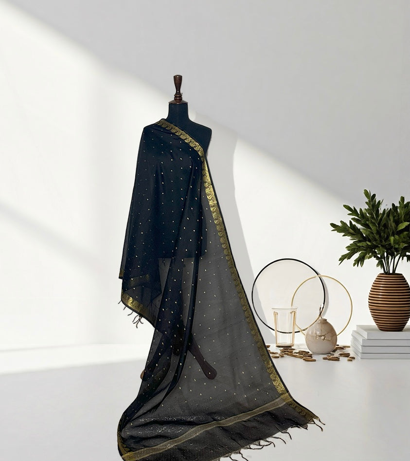 Obsidian Charm: Banarasi Jacquard with Golden Glow